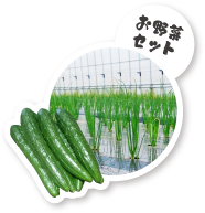 野菜セット