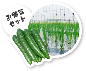 お野菜セット